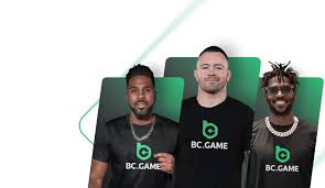 Exploring the Exciting World of BC.Game 6